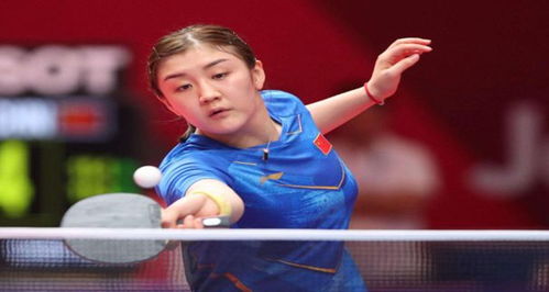 浙江东阳光 浙江东阳光